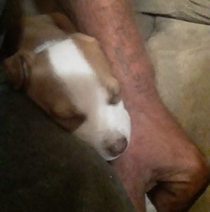 Meet your Posher, Tim